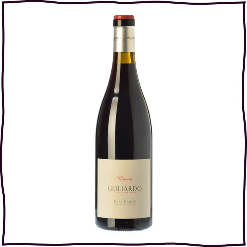 Goliardo Caiño Tinto 2022, Forjas del Salnés